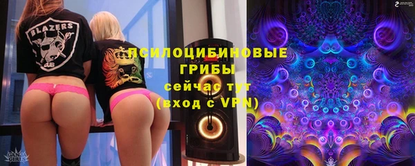 ALPHA PVP Гусев