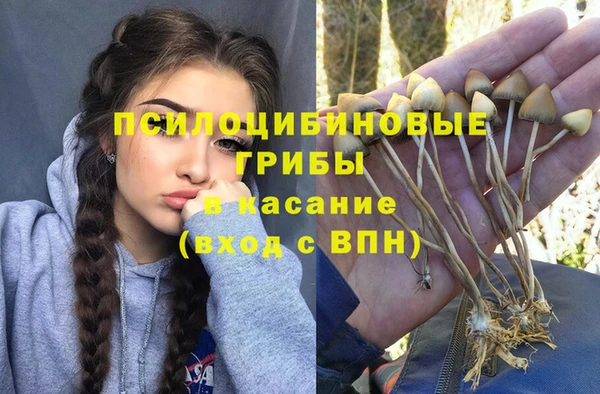 гидропоника Алексин