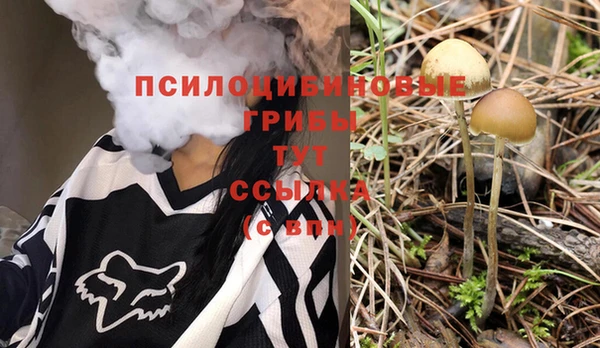 гидропоника Алексин