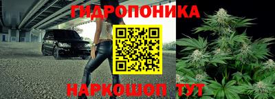 гидропоника Ипатово