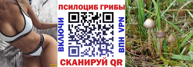 Псилоцибиновые грибы мицелий  OMG рабочий сайт  Невинномысск 